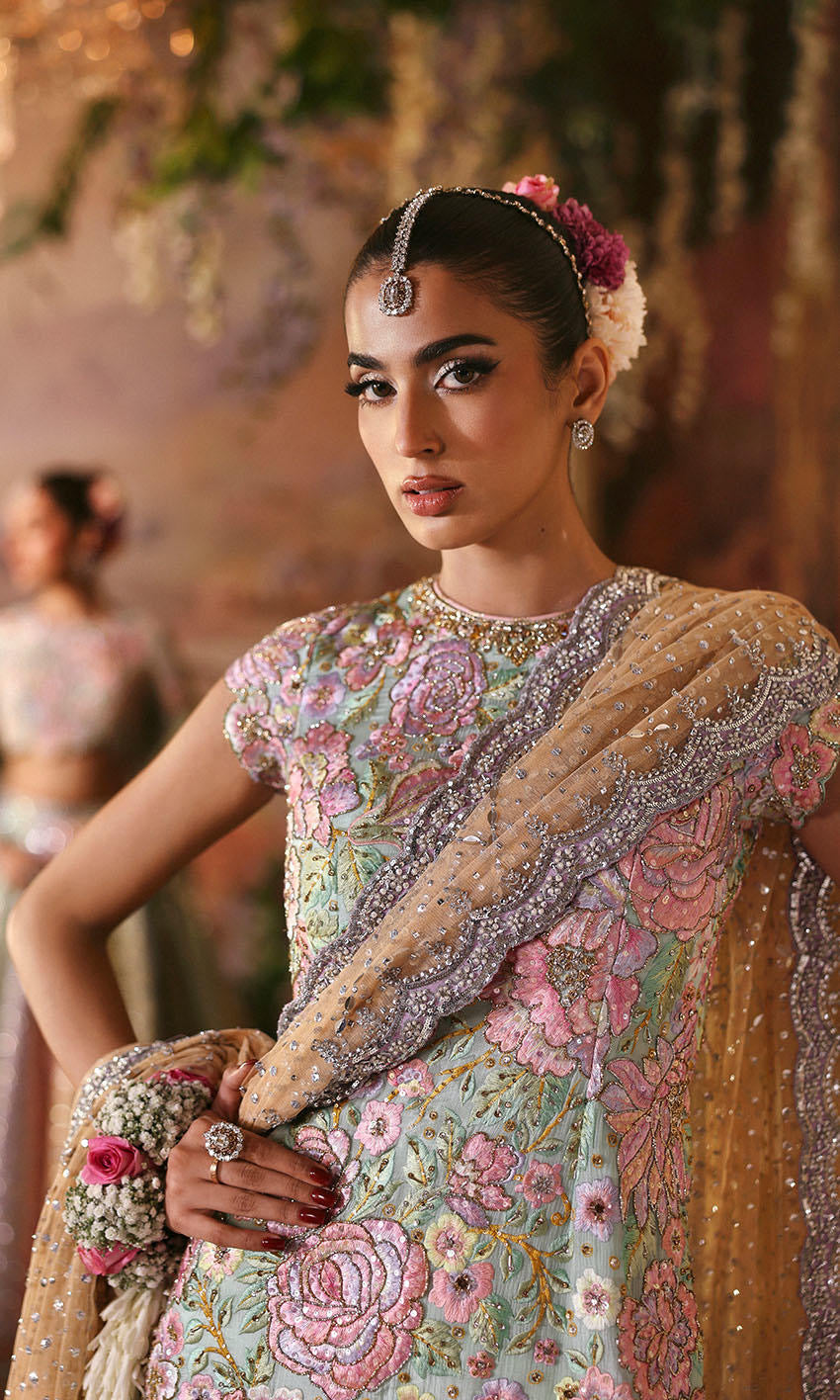 Nomi Ansari