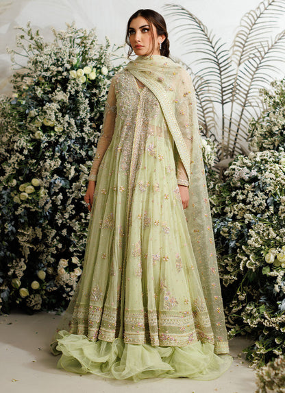 Farah Talib Aziz - Eliza kiwi tulle kalidaar My Store