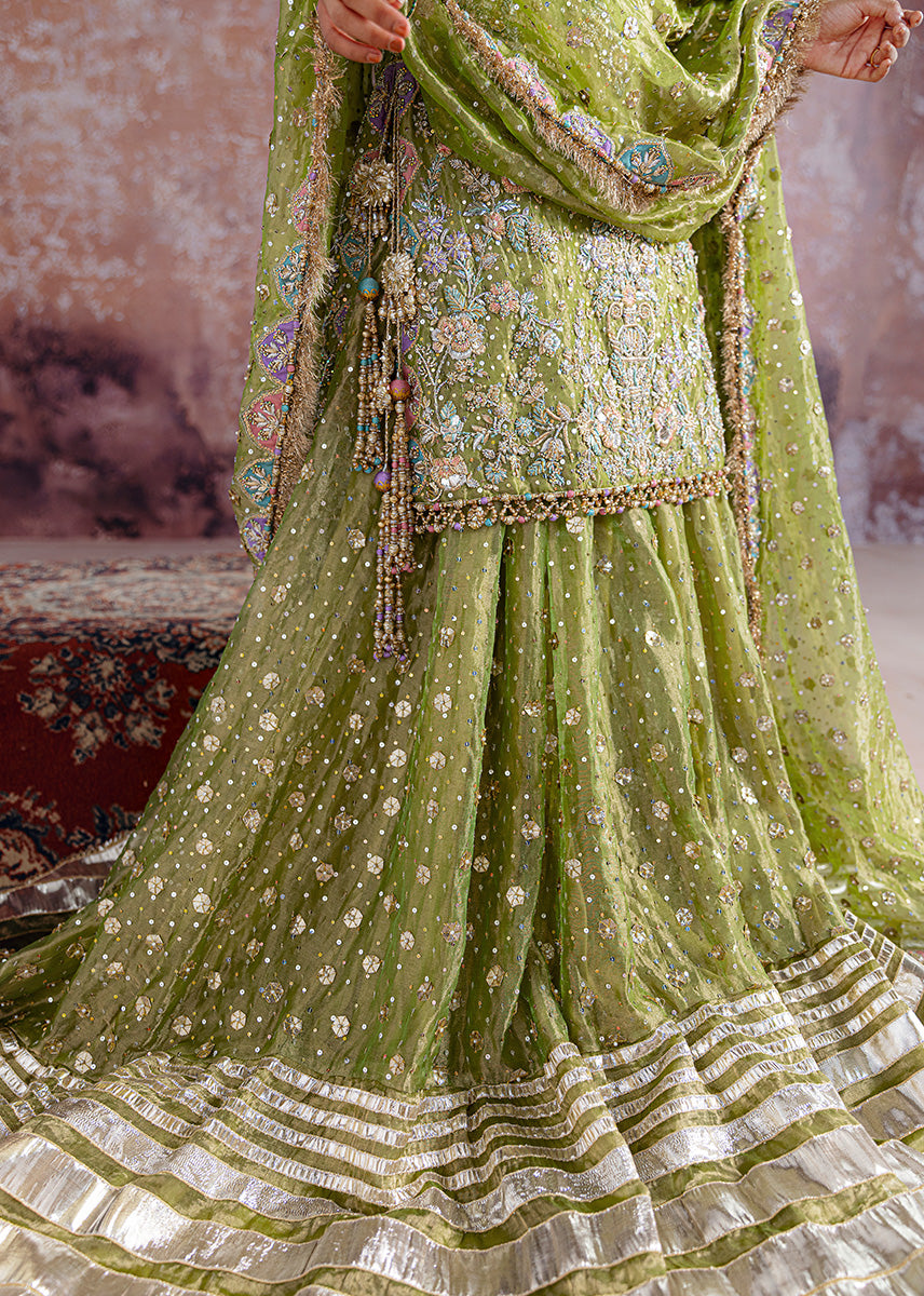 Sara Rohale Asghar - Shadan Eemie's Studio