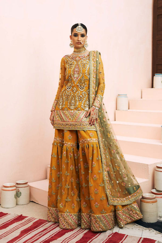 Mina kashif - Jahanara Begum My Store