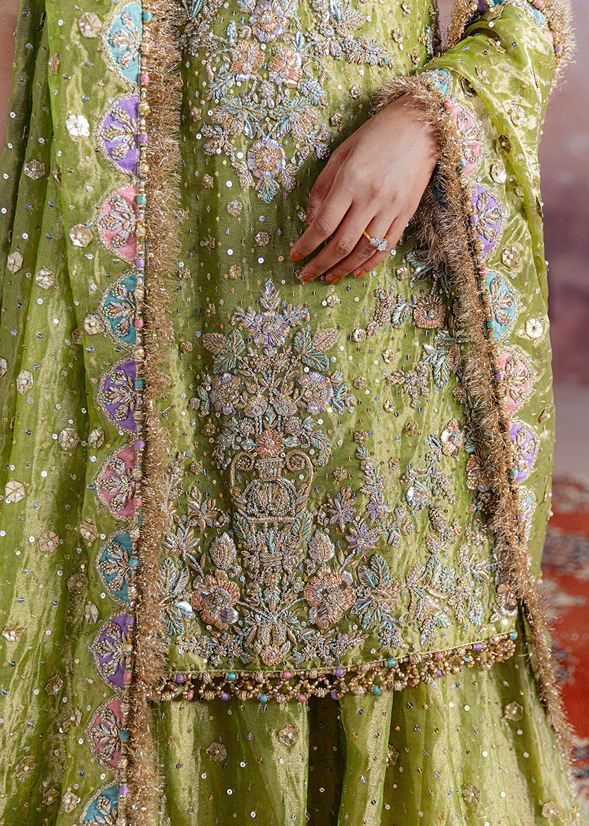 Sara Rohale Asghar - Shadan Eemie's Studio
