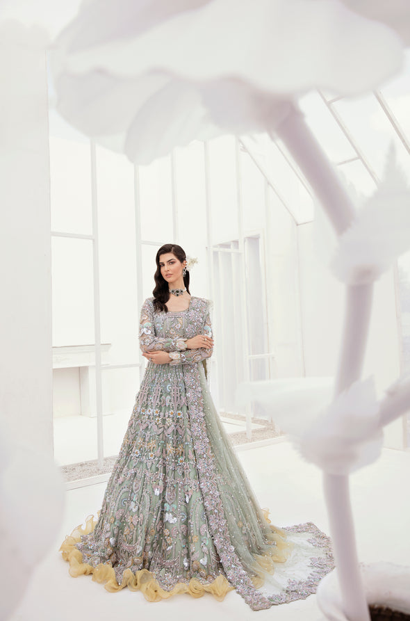 Ahmad Sultan - Orchid My Store