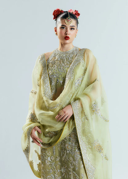 Hussain Rehar - Mintara Ayla's Atelier