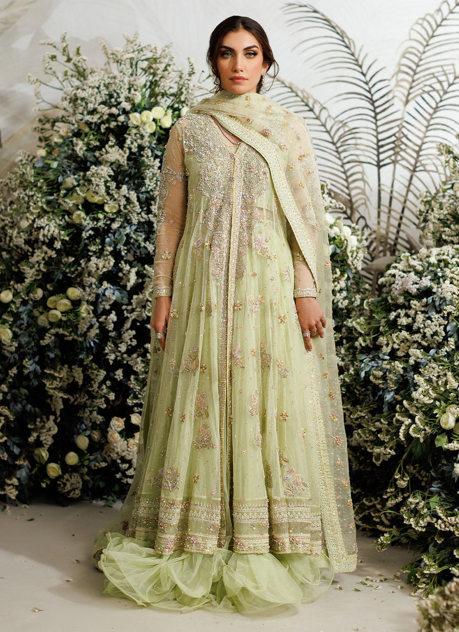 Farah Talib Aziz - Eliza kiwi tulle kalidaar My Store