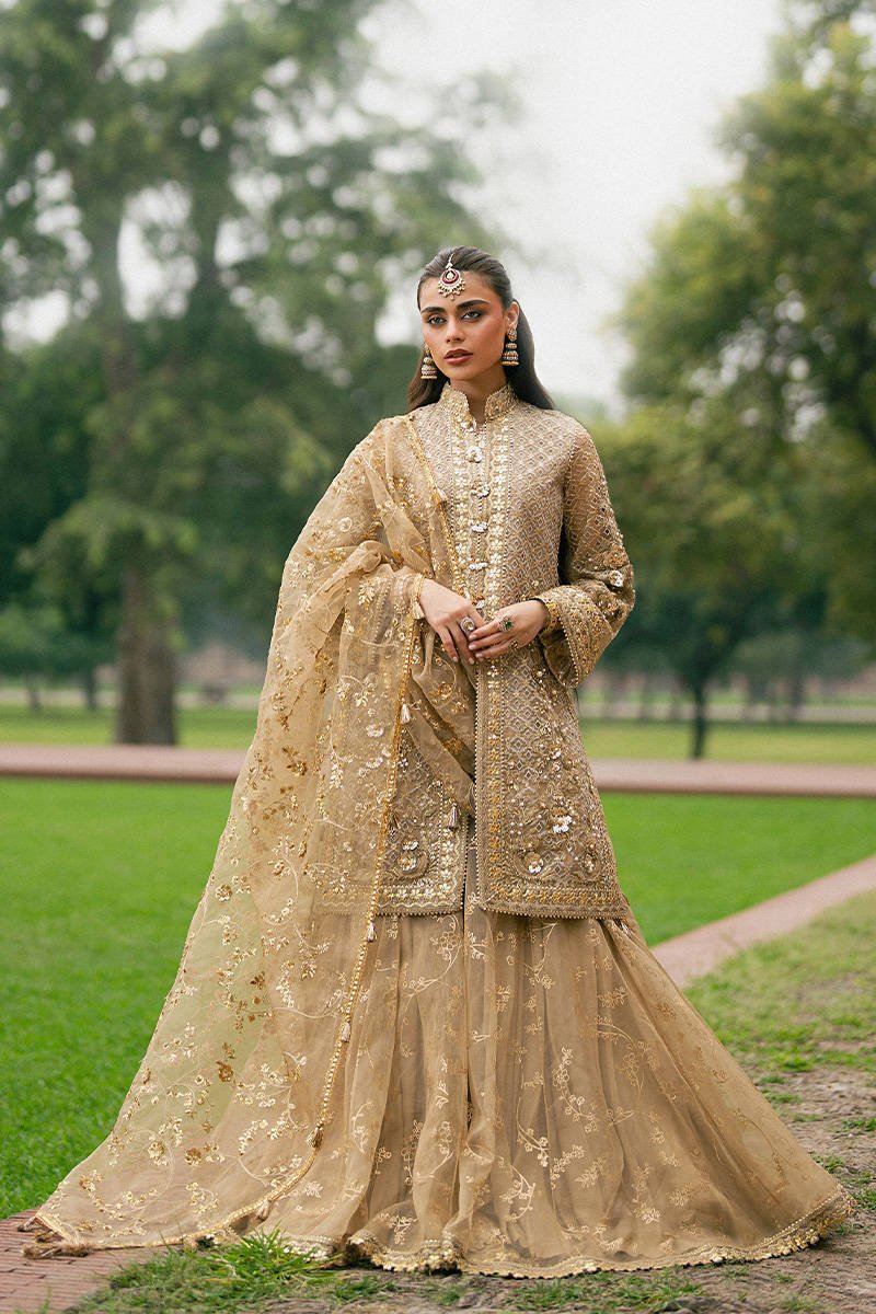 Mohsin Naveed Ranjha (MNR) - Roshni Ayla's Atelier