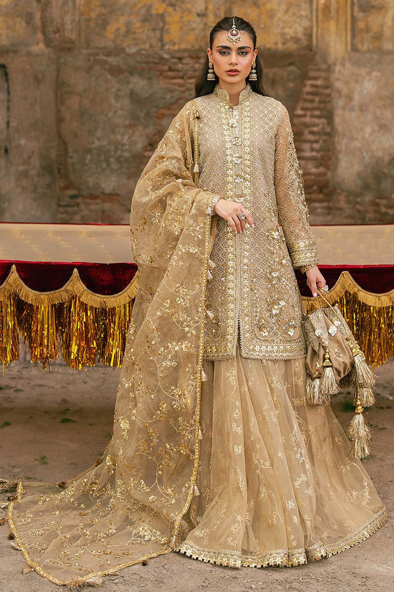 Mohsin Naveed Ranjha (MNR) - Roshni Ayla's Atelier