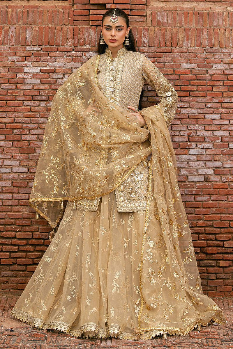 Mohsin Naveed Ranjha (MNR) - Roshni Ayla's Atelier