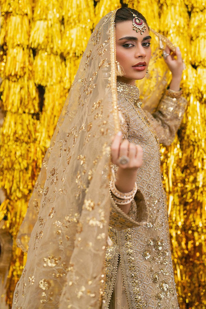 Mohsin Naveed Ranjha (MNR) - Roshni Ayla's Atelier