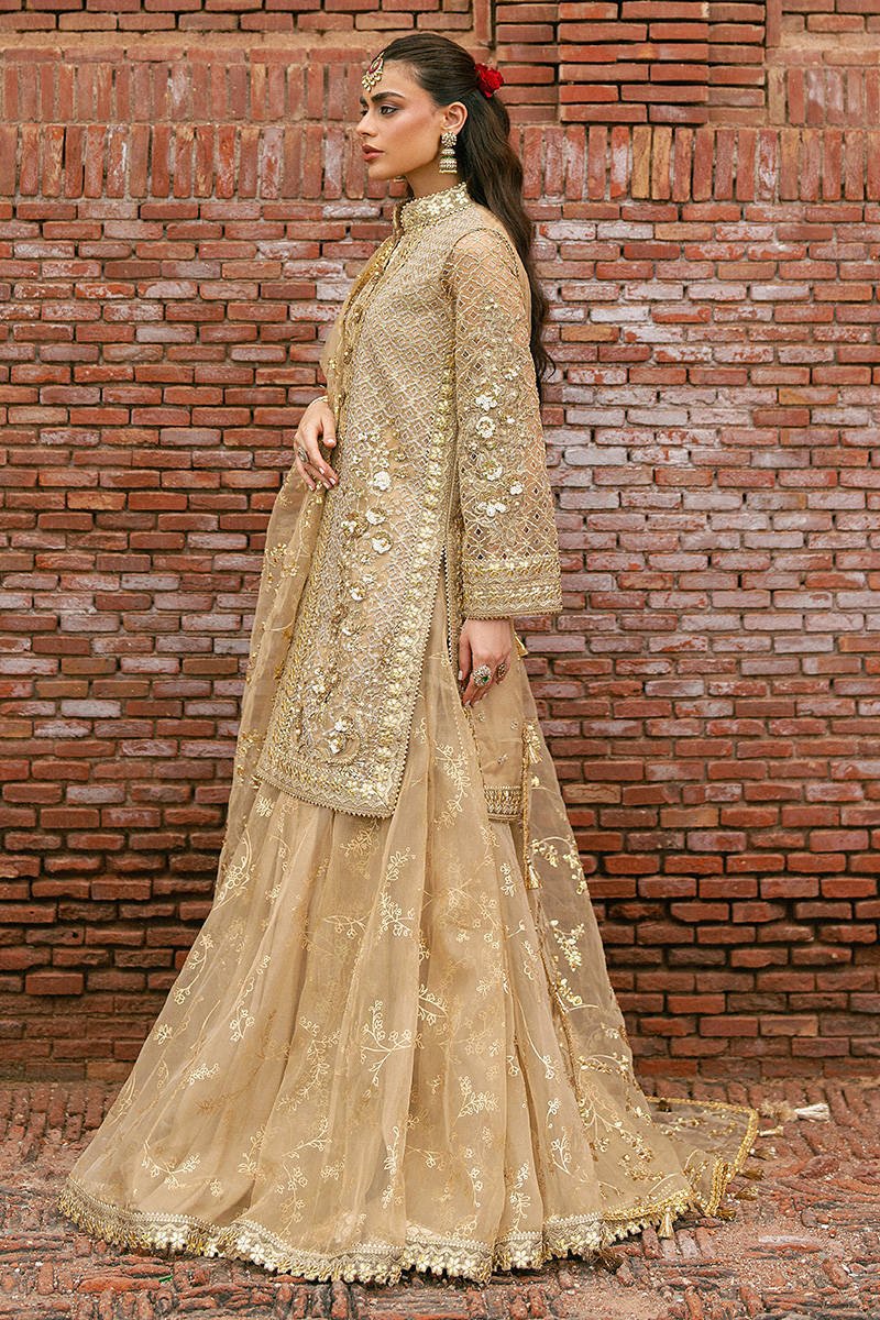 Mohsin Naveed Ranjha (MNR) - Roshni Ayla's Atelier