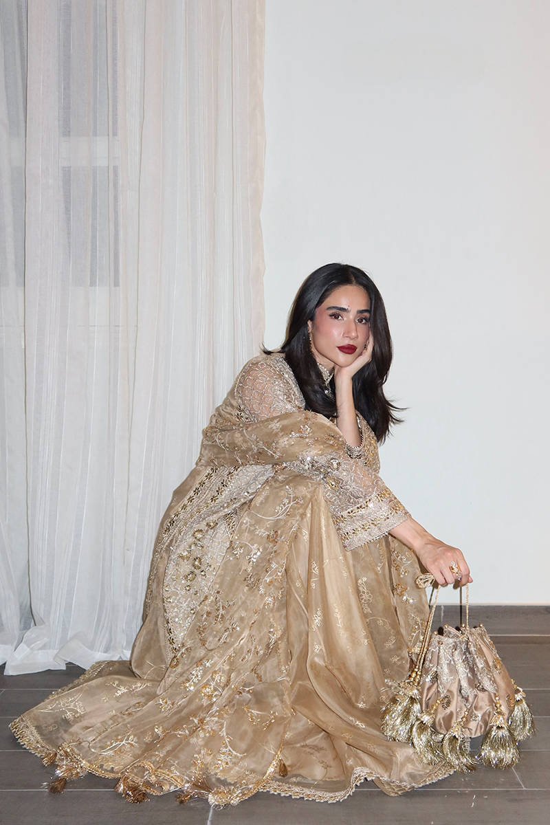 Mohsin Naveed Ranjha (MNR) - Roshni Ayla's Atelier