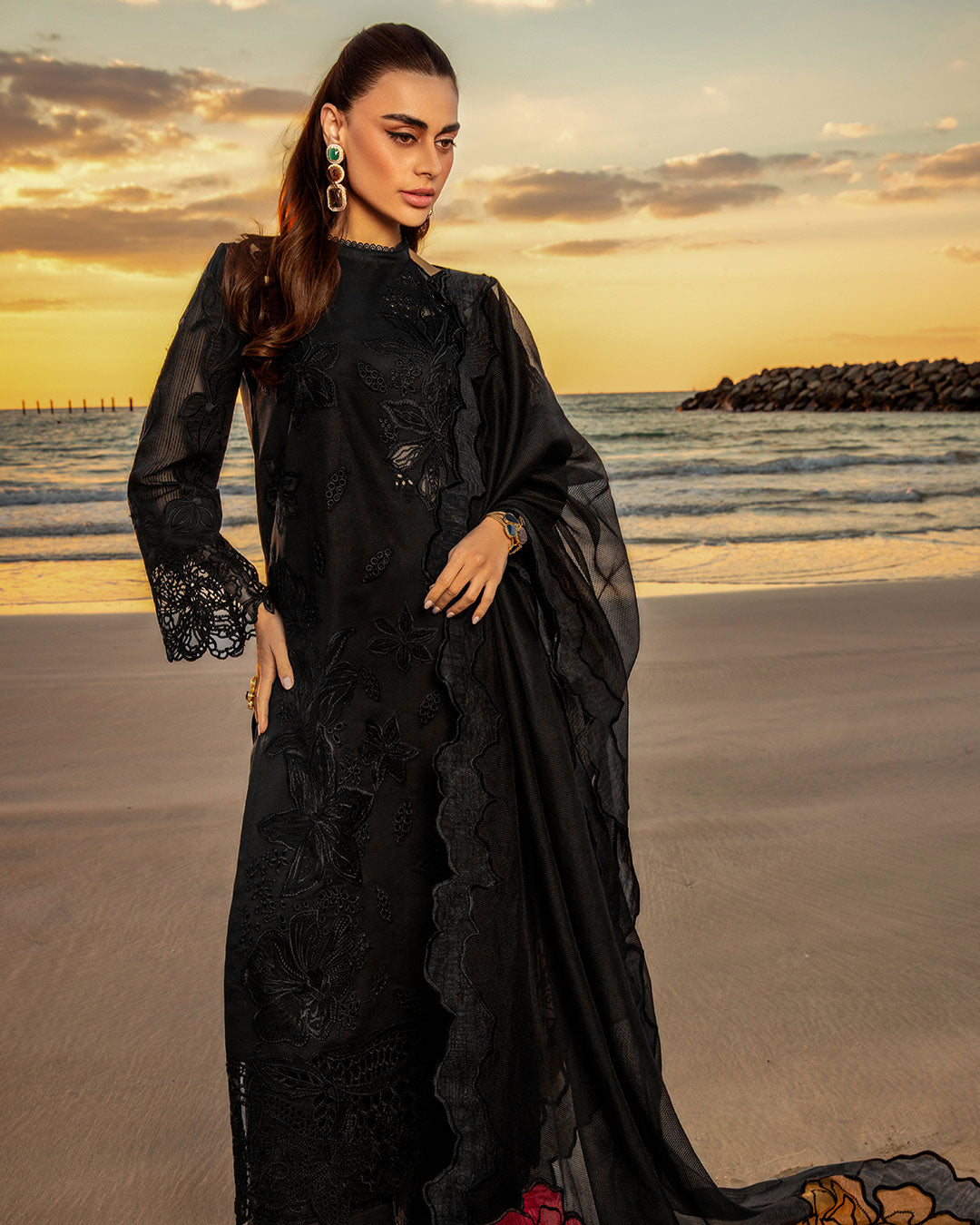 Rang Rasiya - Black Laser Embroidered Ayla's Atelier