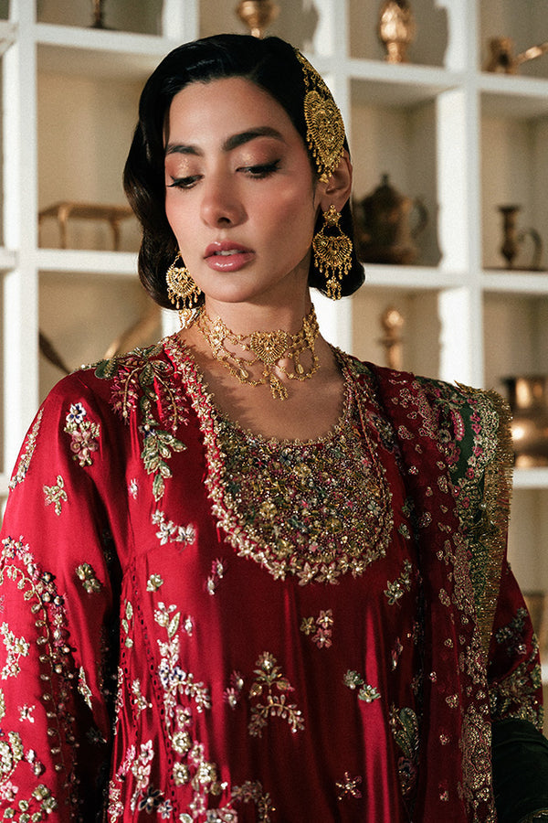 Suffuse Afsanae Organza Dupatta Detail by Ayla's Atelier